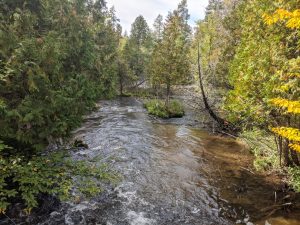 Seven Bridges Natural Area - Rapid River - Kalkaska County