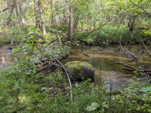 Seven Bridges Natural Area - Rapid River - Kalkaska County