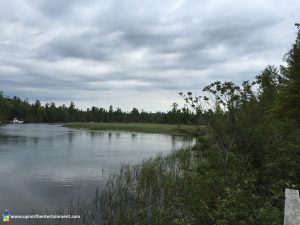 Grass River Natural Area, Bellaire, Antrim County, Michigan